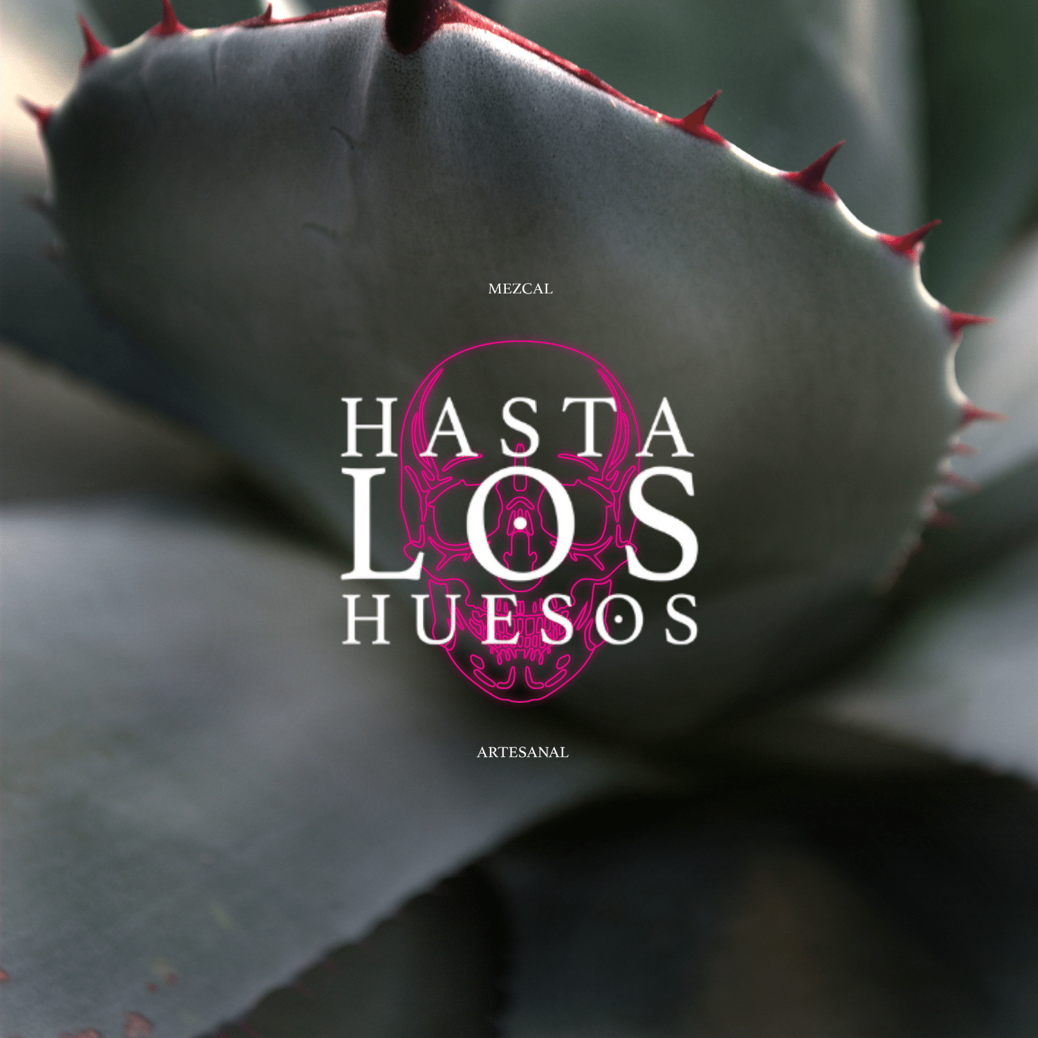 Logo hasta los huesos mezcal