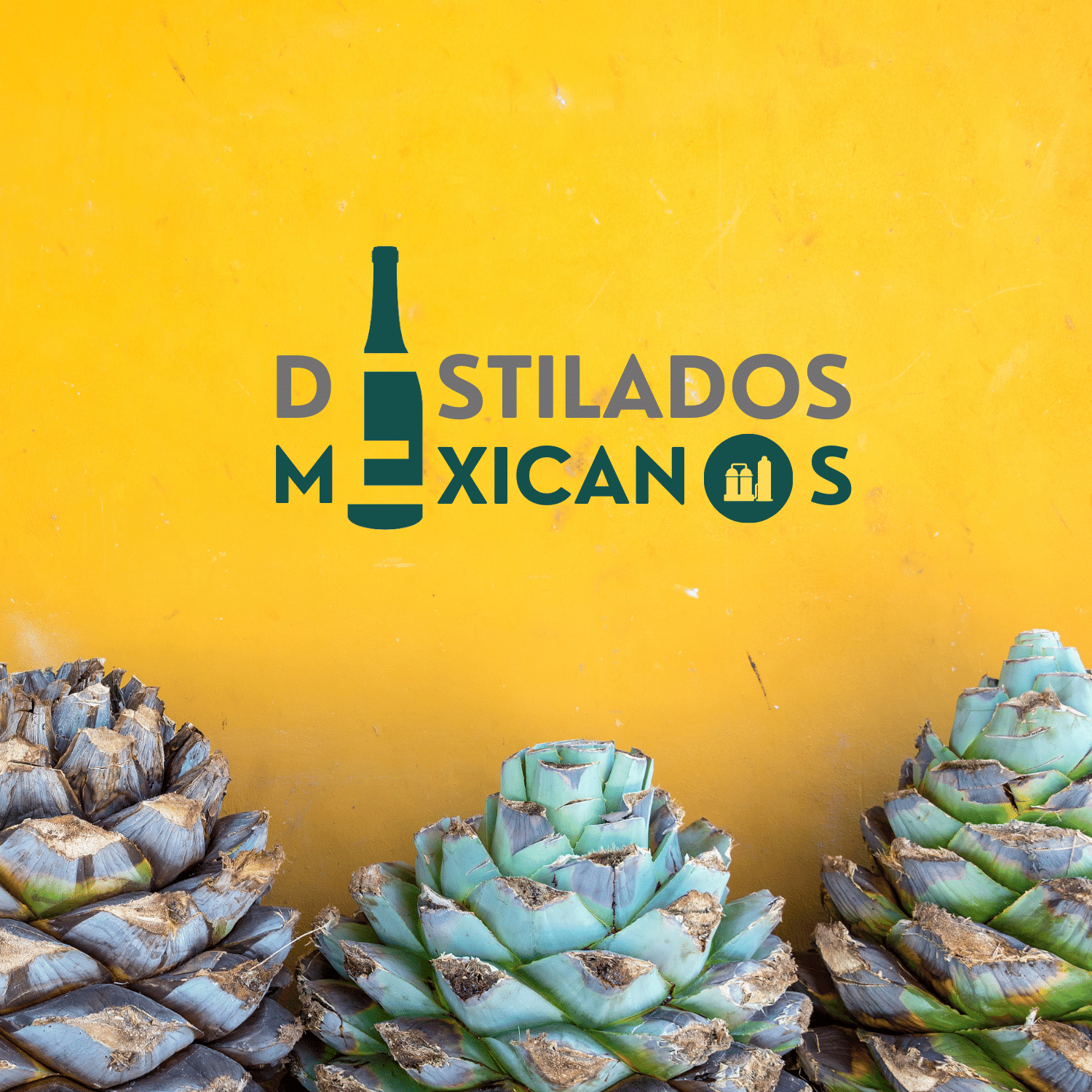 Destilados mexicanos logo