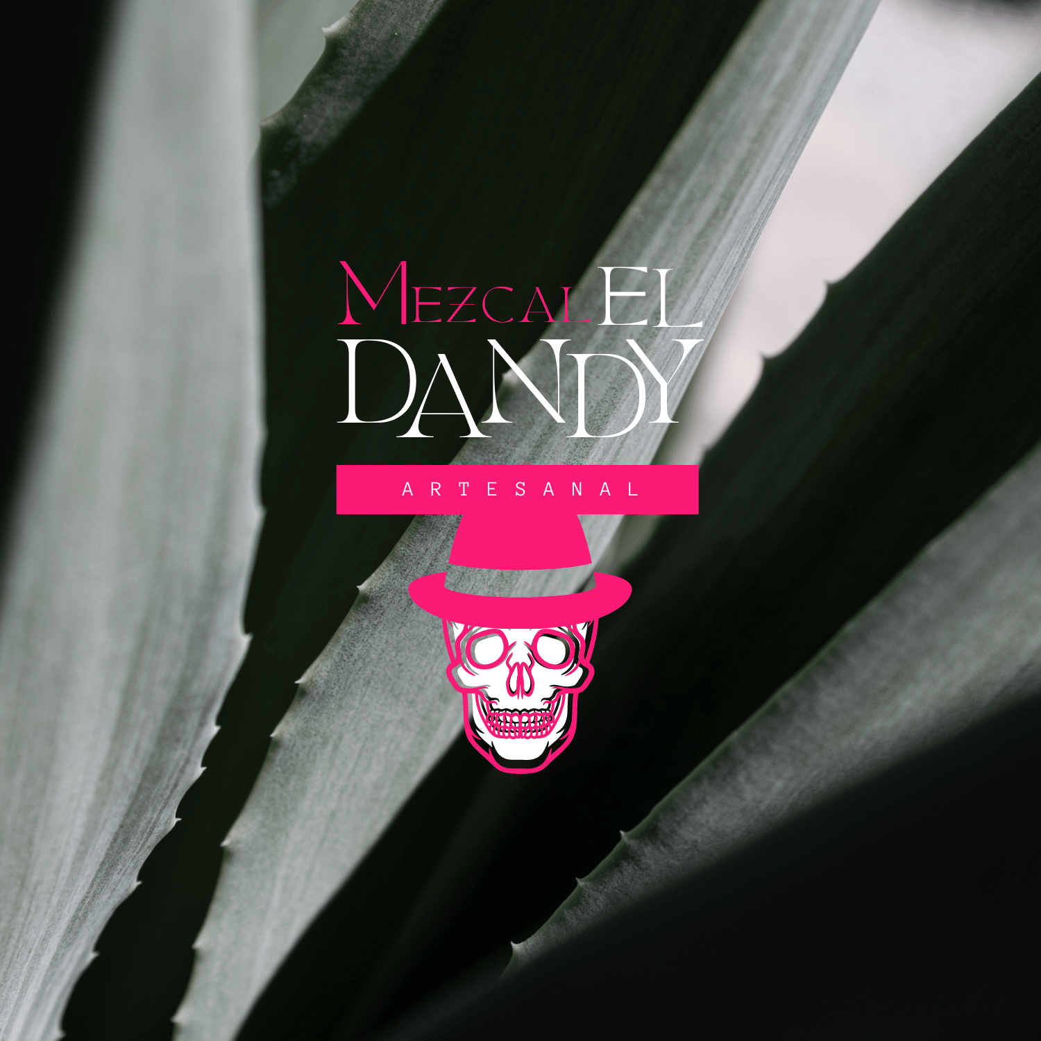 Mezcal el dandy